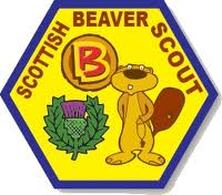 10th Dumfriesshire Beaver Scouts